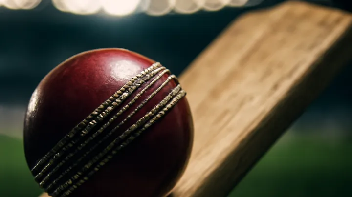 Popular Sports for Betting on XE66 COM Popular Sports for Betting on XE66 COM